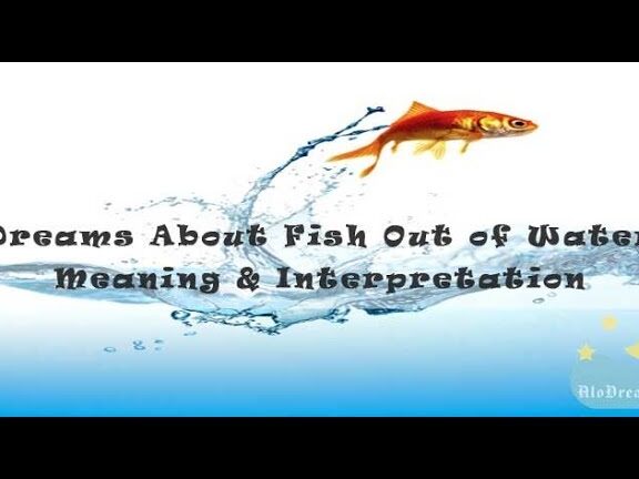 55 sueños con peces fuera del agua - Significado e interpretación - YouTube