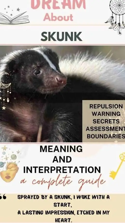 Soñar con Skunk: significado bíblico y espiritual, interpretación...