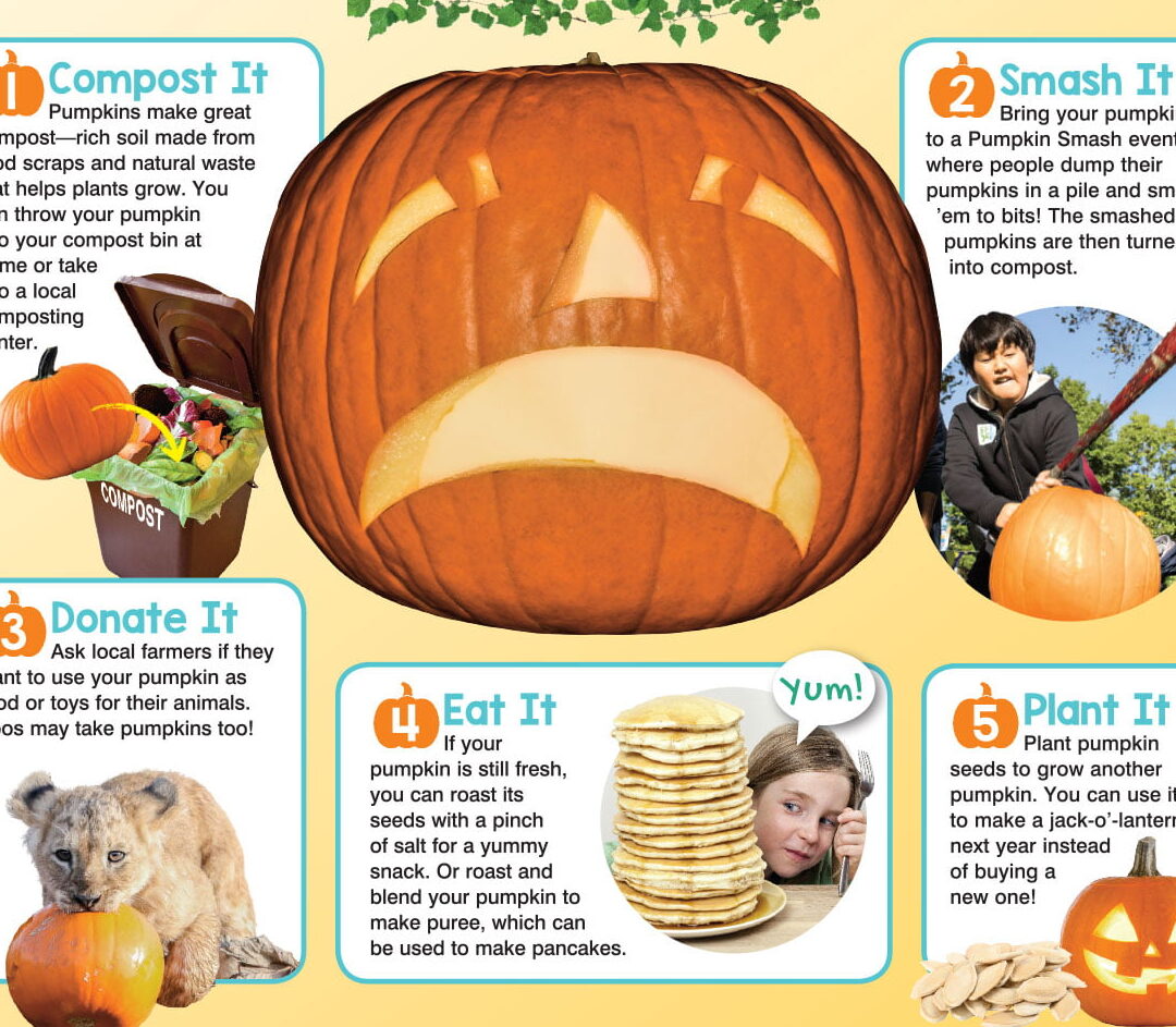 Un problema de calabaza (¡y 5 soluciones!)