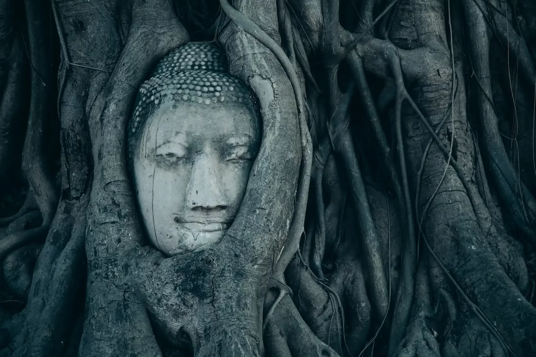 Experiencias extrañas en la meditación - Wildmind