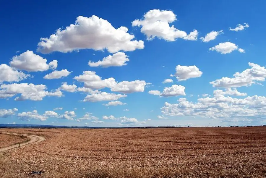 ¿Sueñas con la tierra?