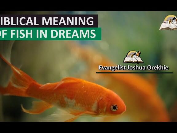 Significado bíblico del PESCADO en sueños - Marcos 1:17 Significado profético del...