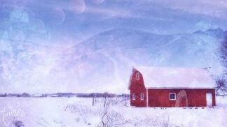 Planta de caña de azúcar verde a 2,5 rupias la pieza en Bagalkot |